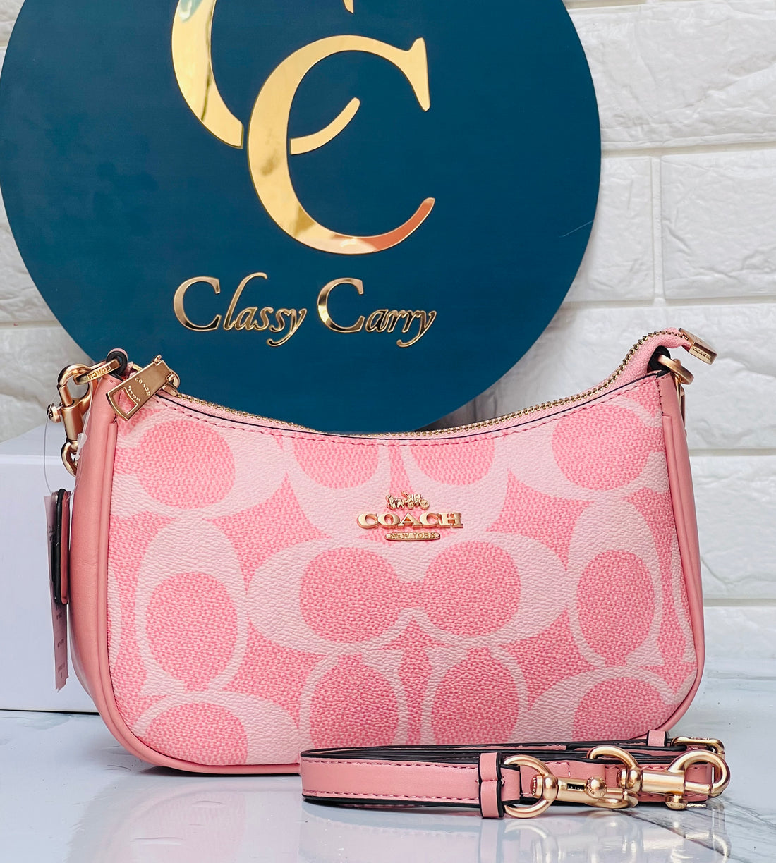 COACH TERI SHOULDER BAG