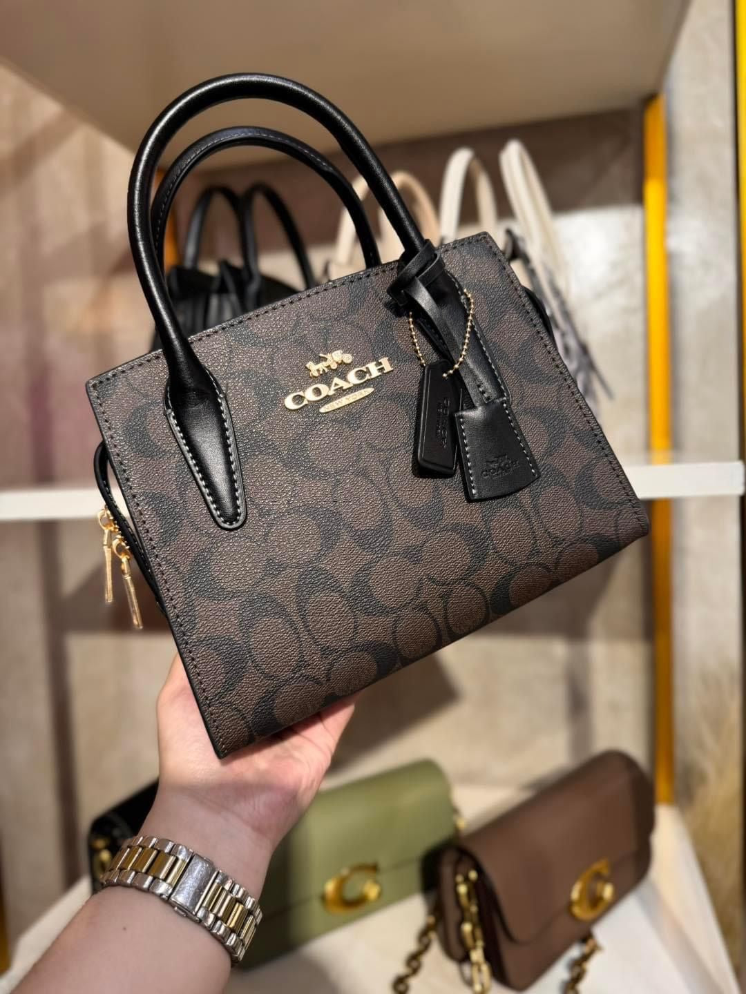 *COACH ANDREA CARRYALL BAGS