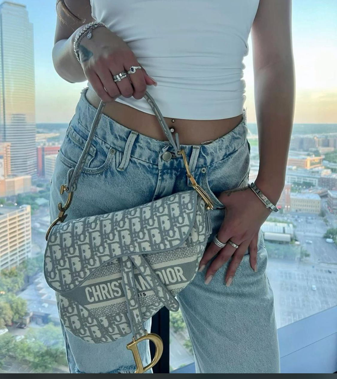 DIOR SADDLE BAG