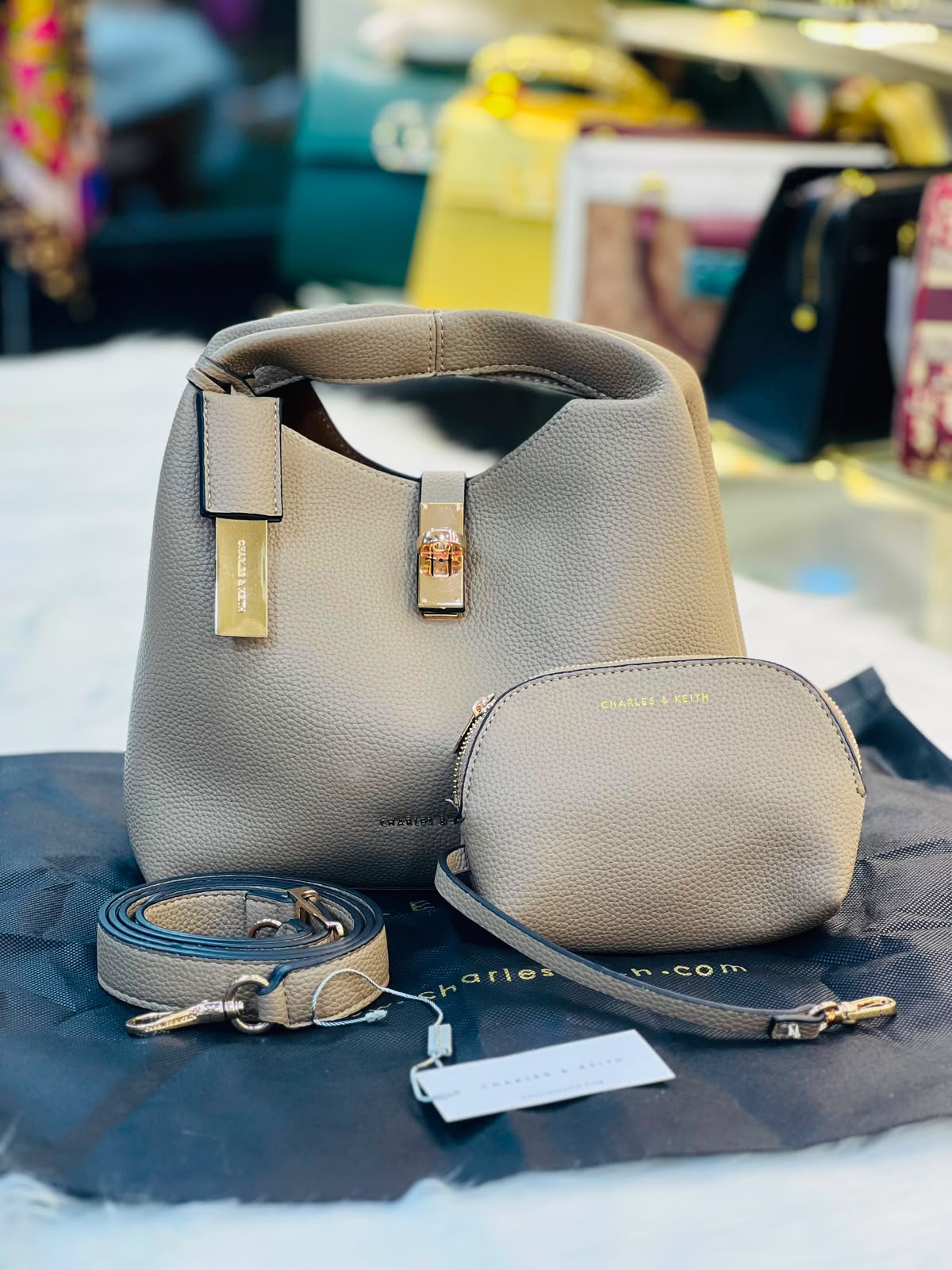 CHARLES & KEITH 2pcs BAG