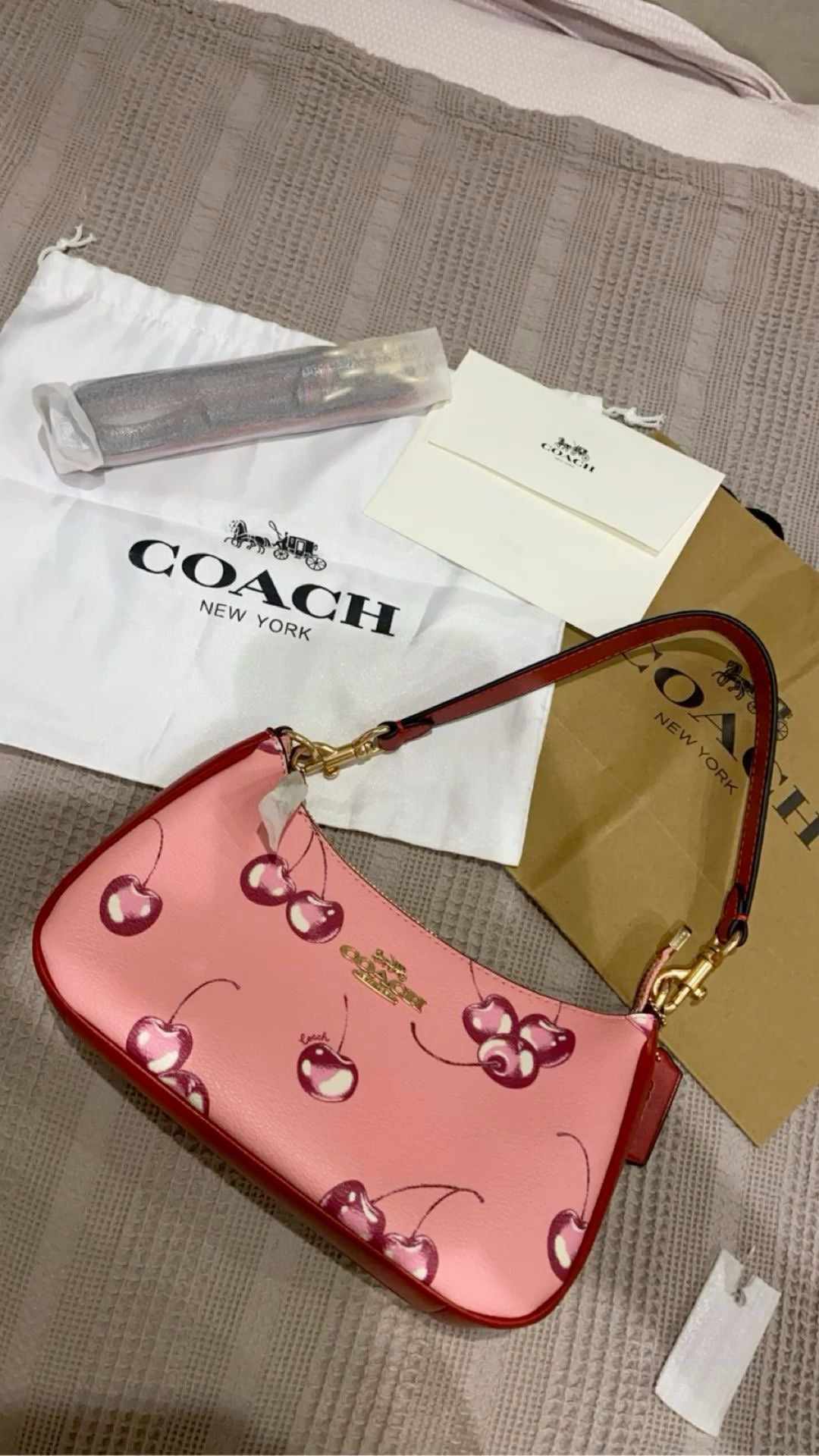 COACH TERI SHOULDER BAG WITH CHERRY PRINT