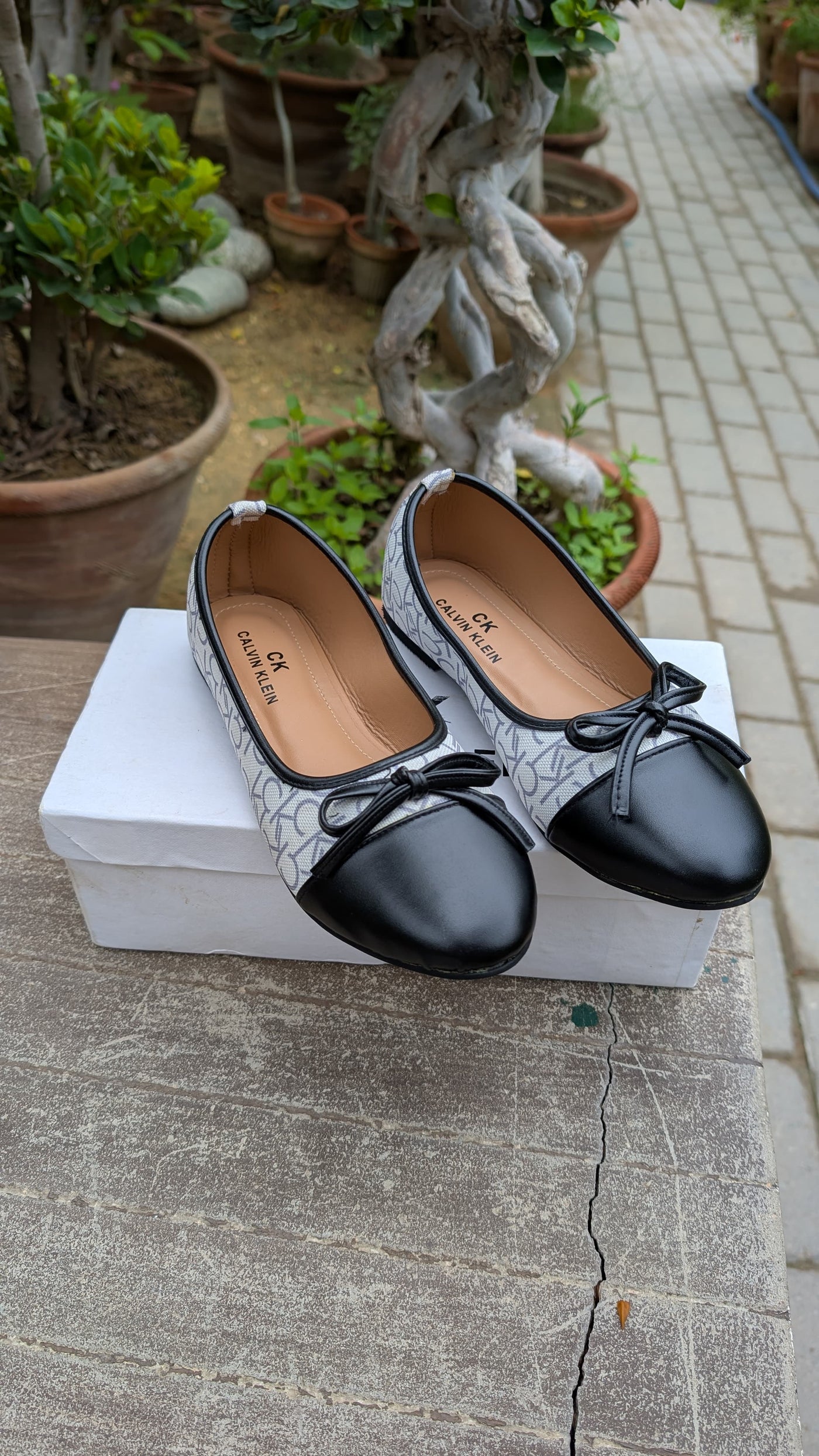 CALVIN KLEIN CORTSHOES