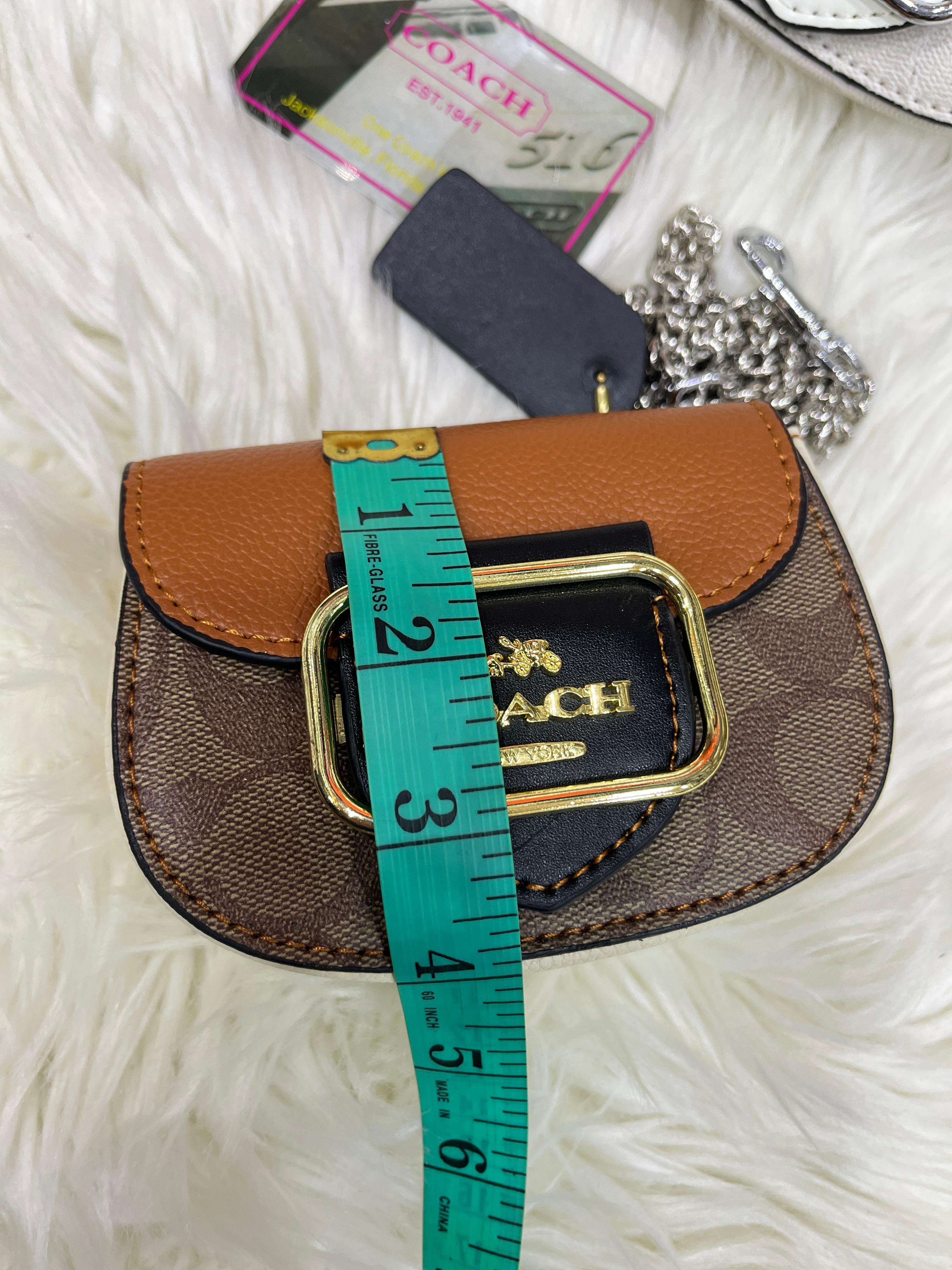 COACH MORGAN CARD CASE ON A CHAIN IN Blocked BAG
