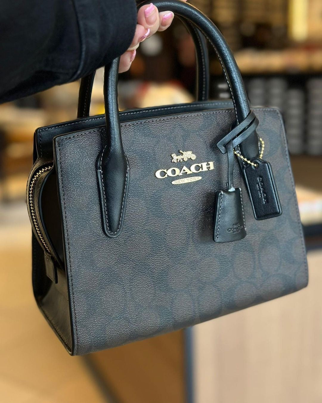 *COACH ANDREA CARRYALL BAGS