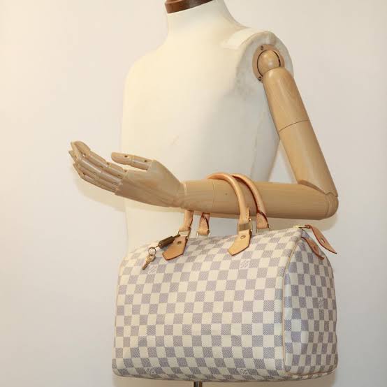 LOUISE VUITTON SPEEDY BAHG