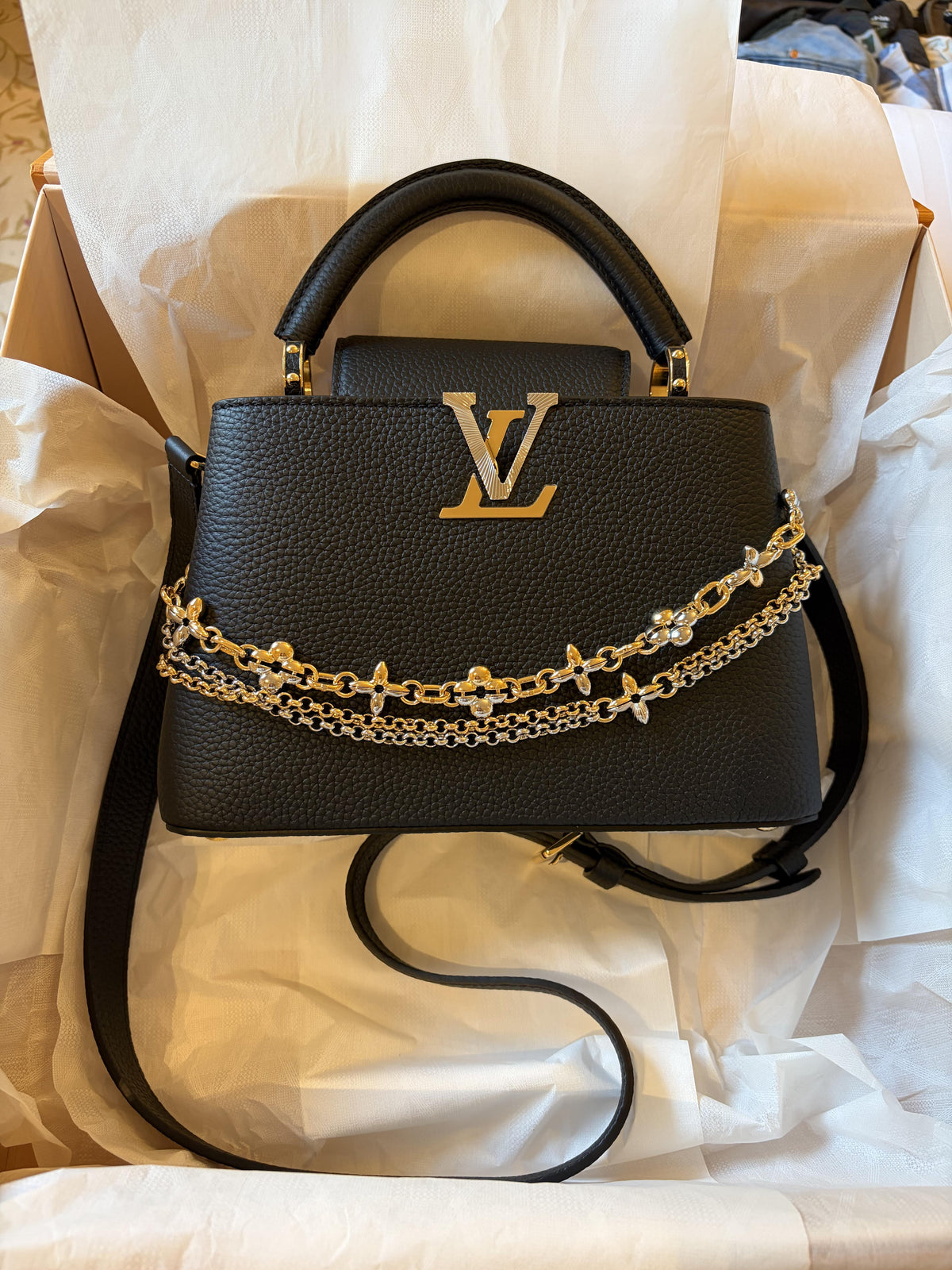 LOUIS VUITTON CAPUCINES BAG