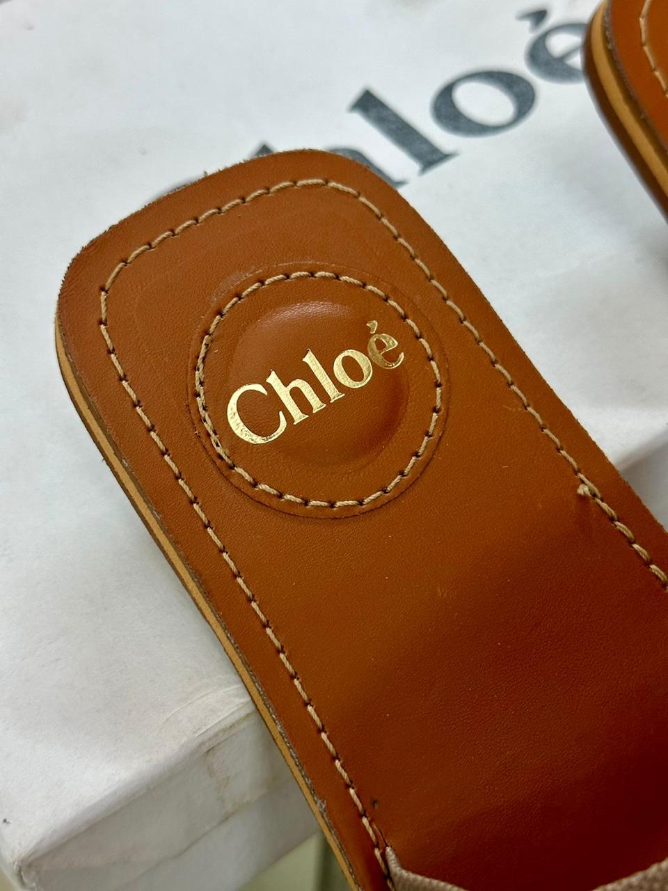 CHLOE SLIDES