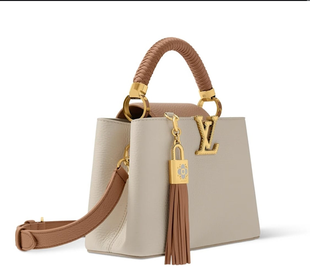 LOUIS VUITTON CAPUCINES BAG