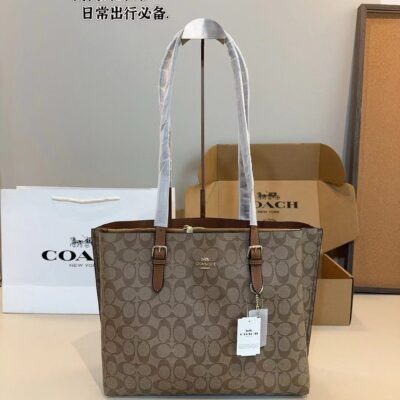 COACH Mollie Tote Bag 34