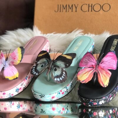 Jimmy butterfly 🦋
